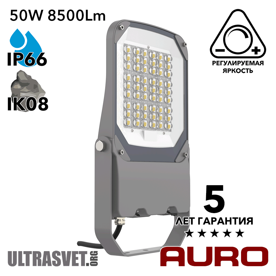 Прожектор светодиодный 50Вт AURO-PRO-FL BSC-M-50