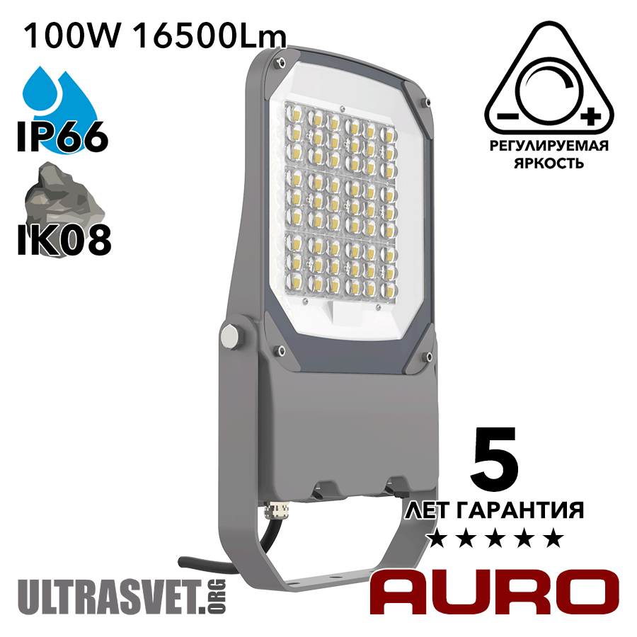 Прожектор светодиодный 100Вт AURO-PRO-FL BSC-M-100
