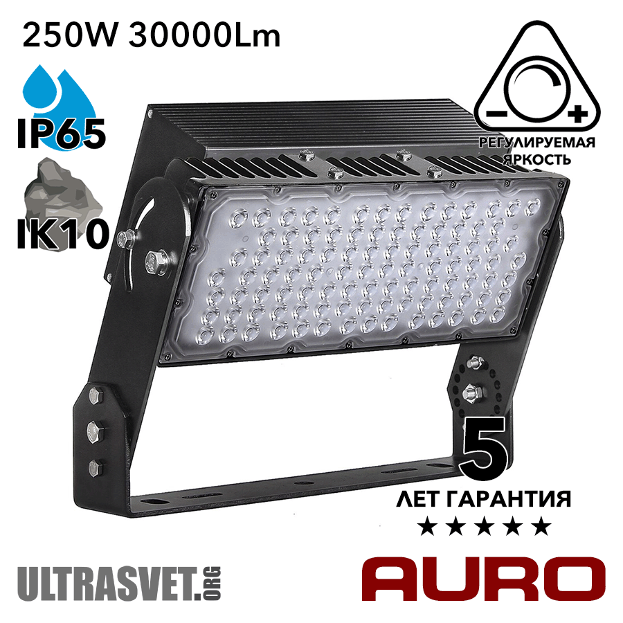 Мощный светодиодный прожектор AURO-PRO-FL-S1-250