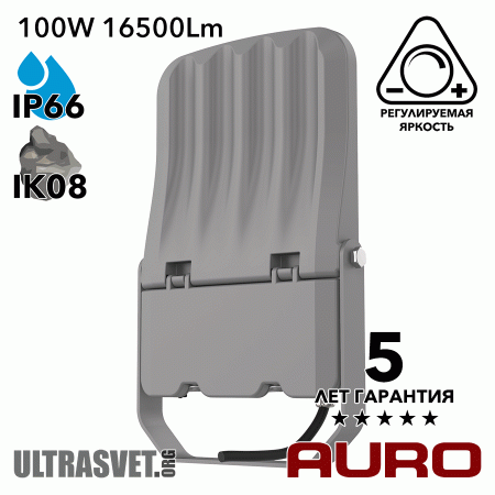 Прожектор светодиодный 100Вт AURO-PRO-FL BSC-M-100
