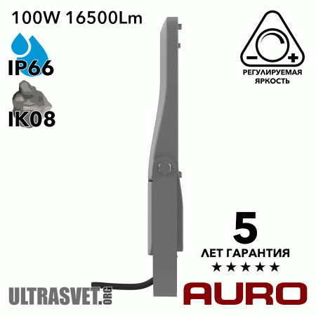 Прожектор светодиодный 100Вт AURO-PRO-FL BSC-M-100